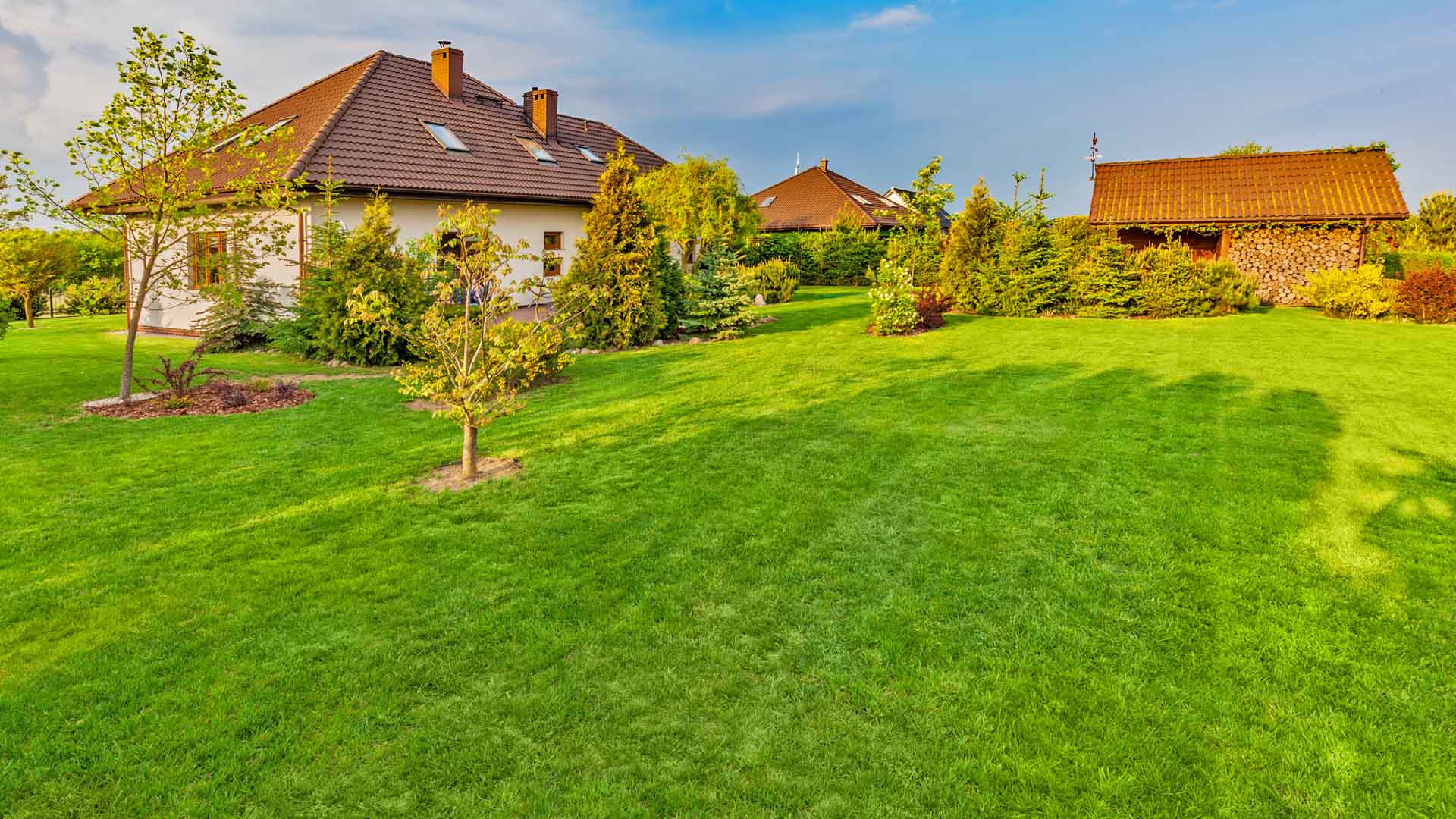 Residential yard after a spring clean up in St. Louis, MO.