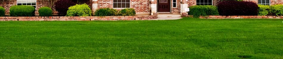 Dark green yard from fertilizing in St. Louis, MO.
