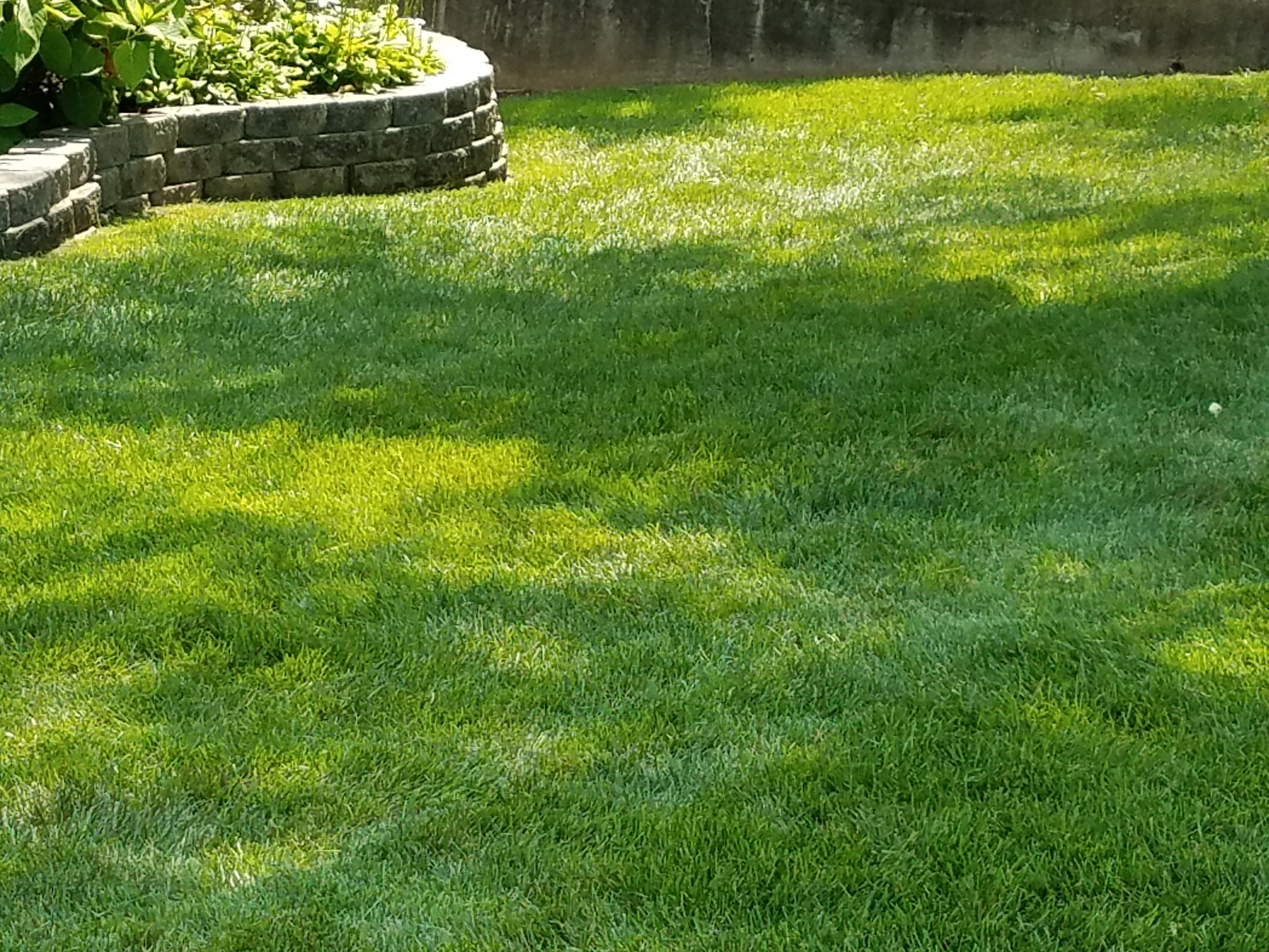 Pro Care Landscaping Lawn Mowing