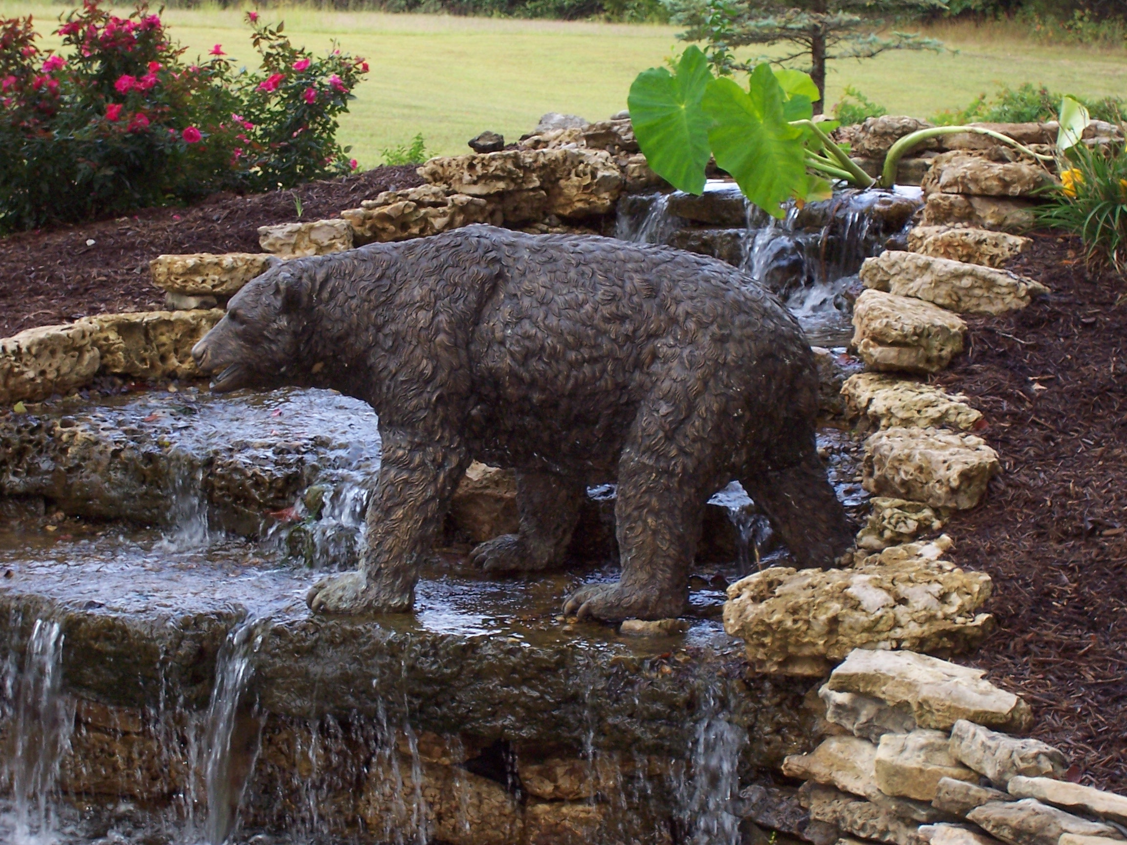 About Pro Care Landscaping