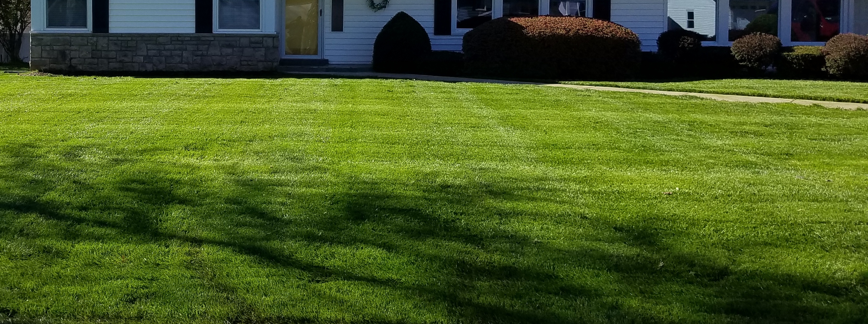 Backyard receiving ongoing lawn mowing and maintenance.