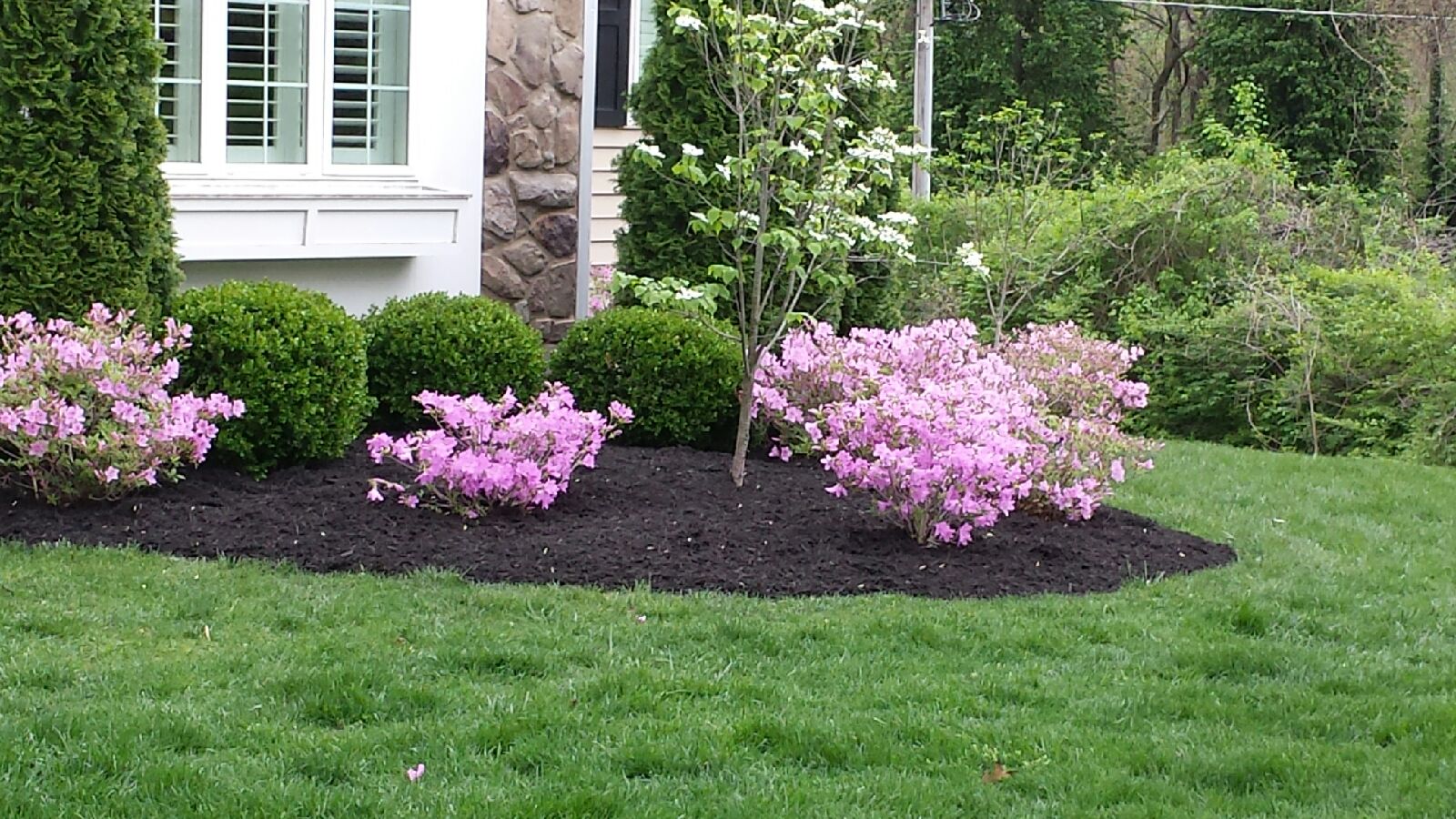 Well maintained lawn and landscaping at residential property.